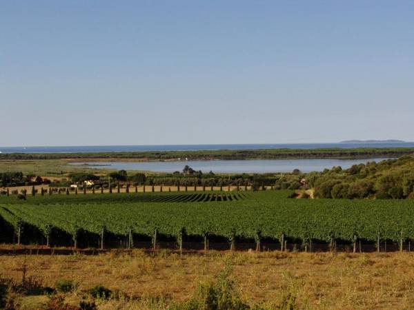 Agriturismo Fattoria Il Casalone