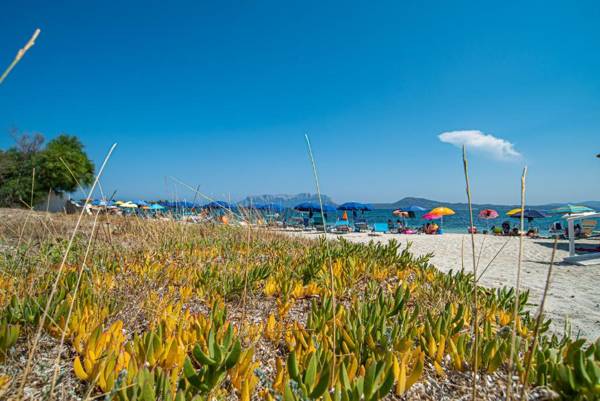 Appartamento del Cormorano