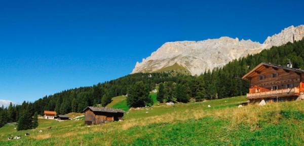 Ferienwohnung Thymian Thalerhof