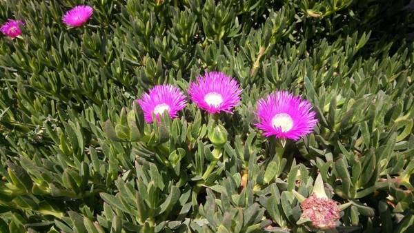 La Cascina Di Barone