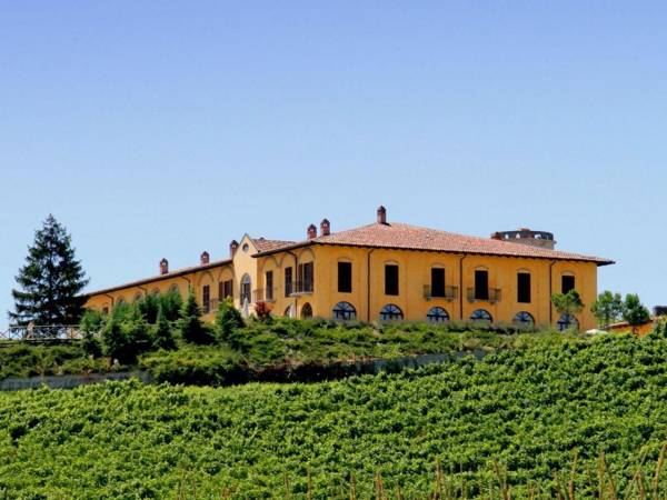 Modern Mansion in Nizza Monferrato with Swimming Pool