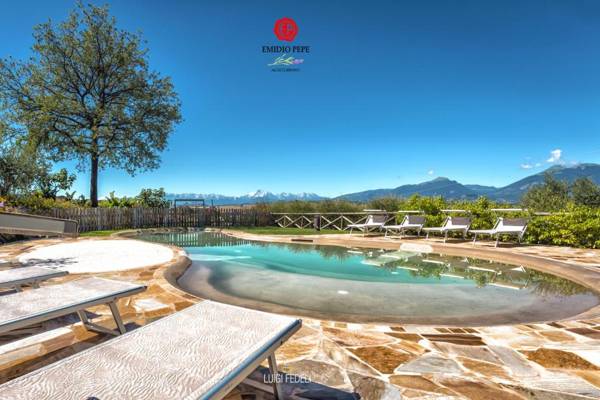 Agriturismo Emidio Pepe