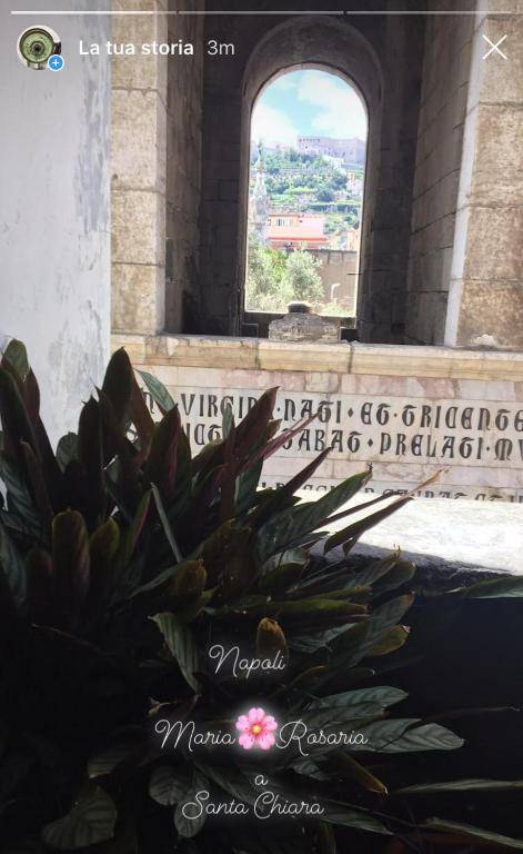 MARIA ROSARIA A SANTA CHIARA