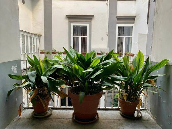 Cache-nez Piazza Dante Napoli