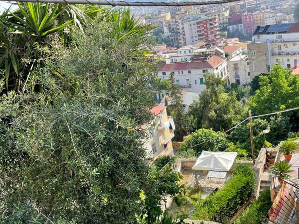 La finestra nel giardino