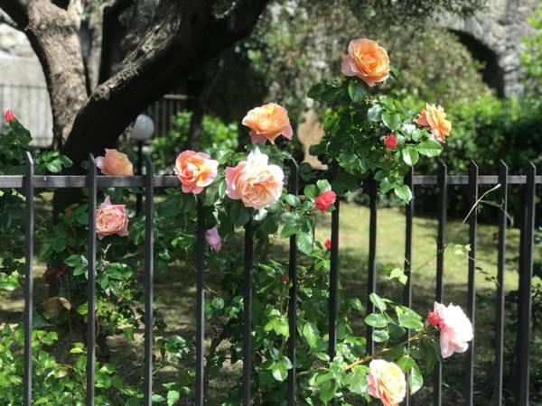 Relais San Filippo in Sogaglia