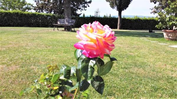 Tenuta Barbadoro agriturismo apartment