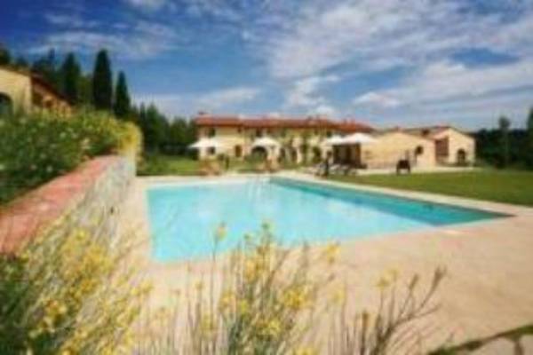 Gatto Bianco Tizzauli