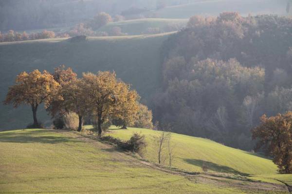 L'Isola Che Non C'era
