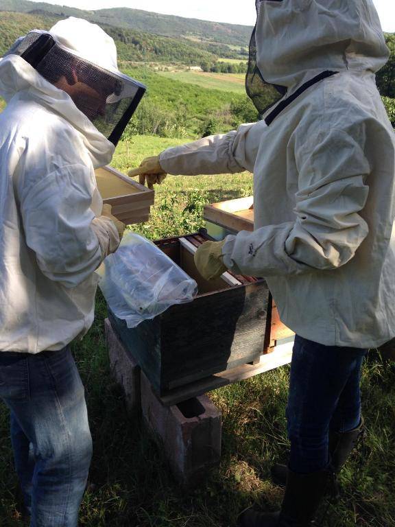 Agriturismo San Ottaviano