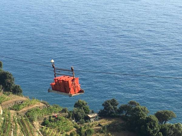 Zia Letizia Bed And Wine