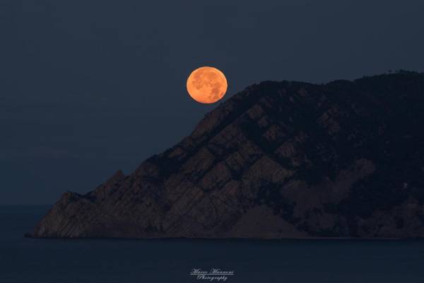 Al mare (Guesthouse)