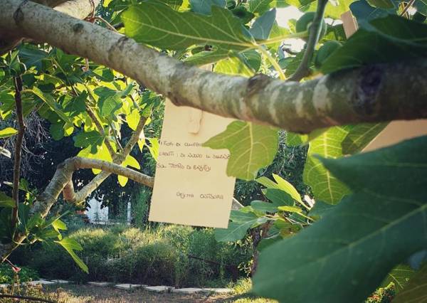 B&B Il giardino ritrovato