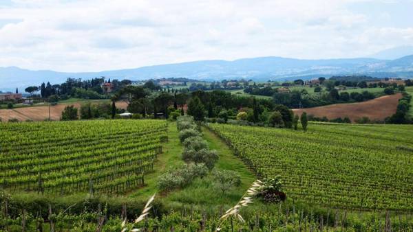 Agriturismo La Terra