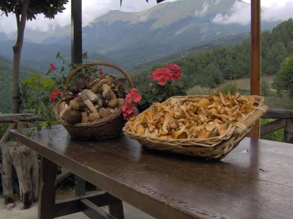 La Cittadella Dei Monti Sibillini