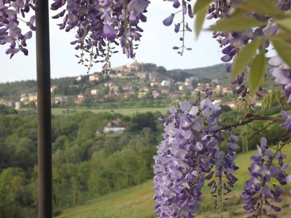 Agriturismo Gattogiallo