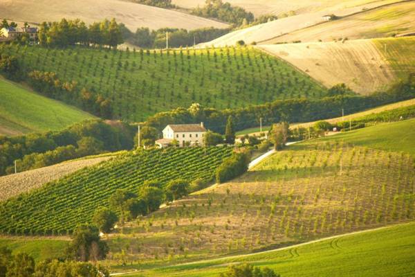 6 bedrooms villa with private pool furnished garden and wifi at Montecarotto