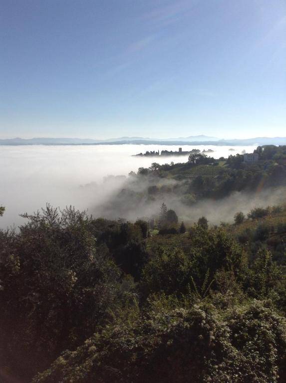 Hotel Vecchia Oliviera