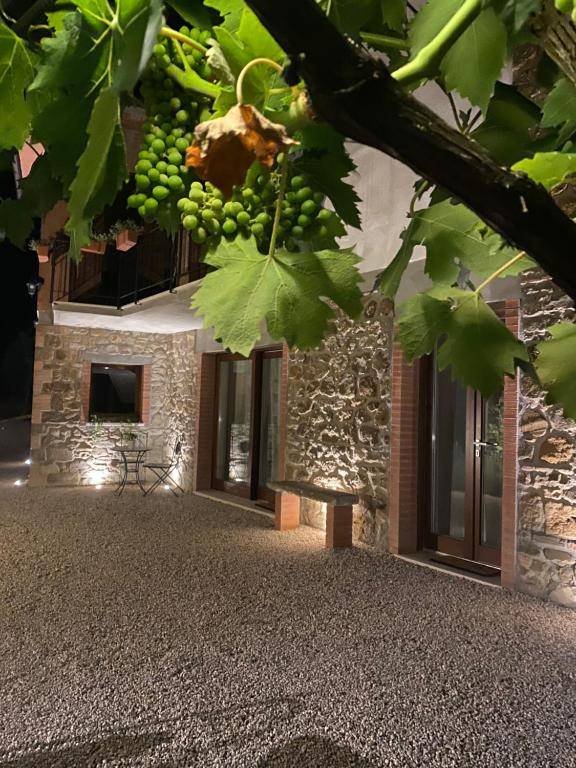 Podere Belsogno-Bilocale Ulivo