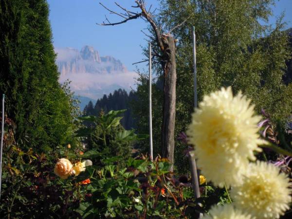 Belvedere Dolomites Flower Hotel