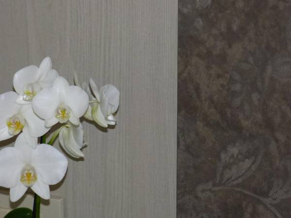 Design Hotel Astra B&B