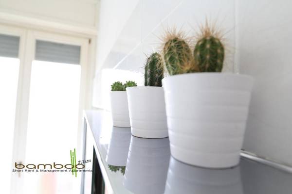 Bamboo Milano Papiniano Loft