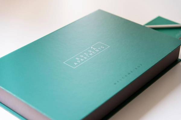 Brera Apartments in Nerino