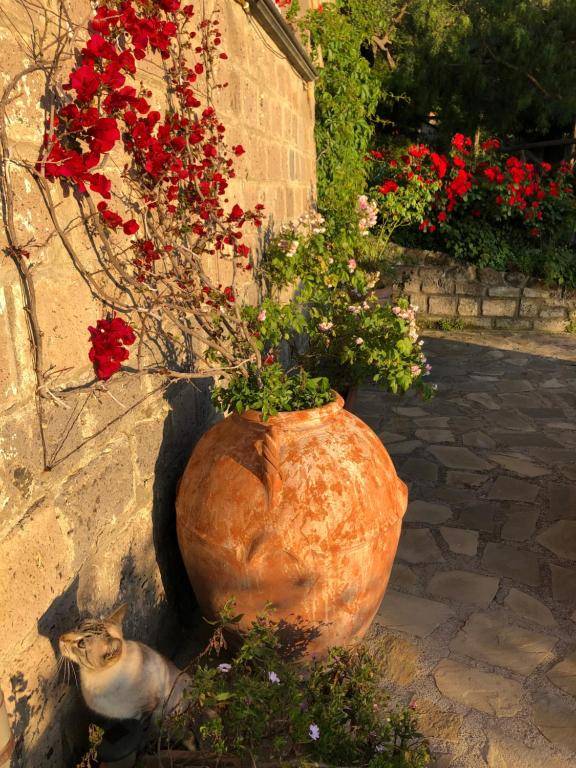 Agriturismo L'Olivara