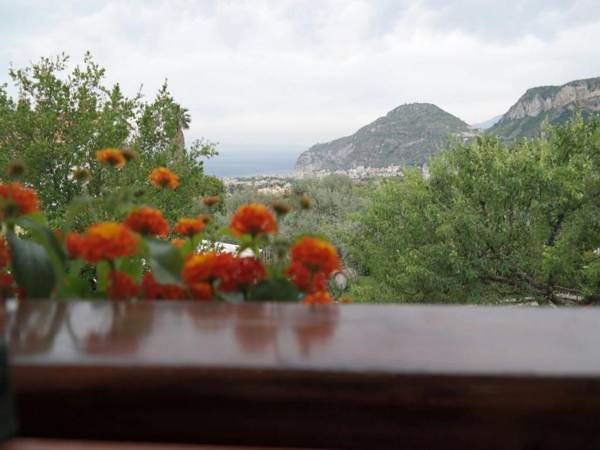 Sweet House Sorrento