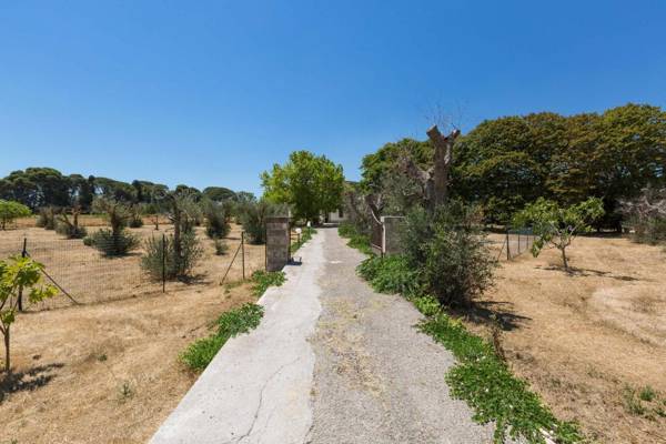 Villa dei Primi by BarbarHouse