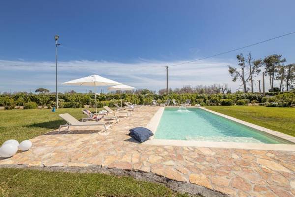 Tenuta Cucci - Matino