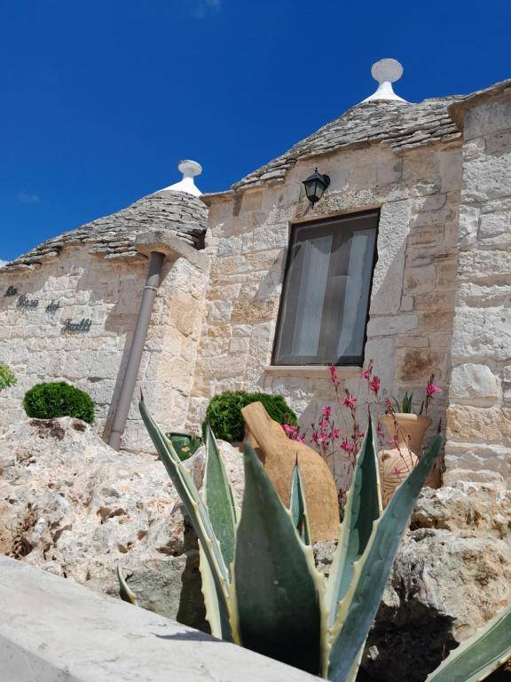 La Rosa dei Trulli B&B