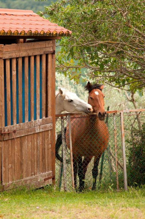 Agriturismo Ripaiani