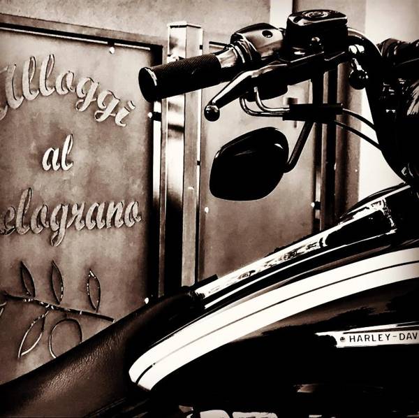 Alloggi Al Melograno