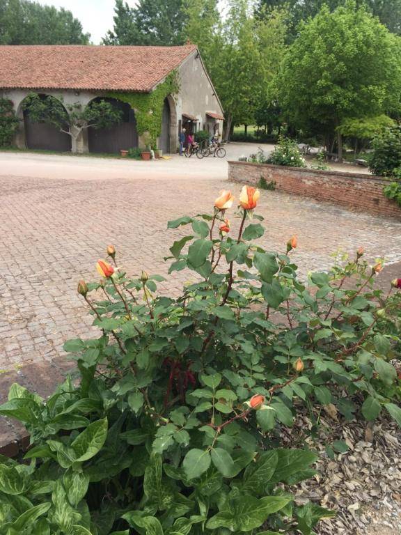 Agriturismo Corte San Girolamo