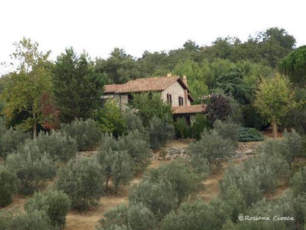 Agriturismo Podere 3 Querce