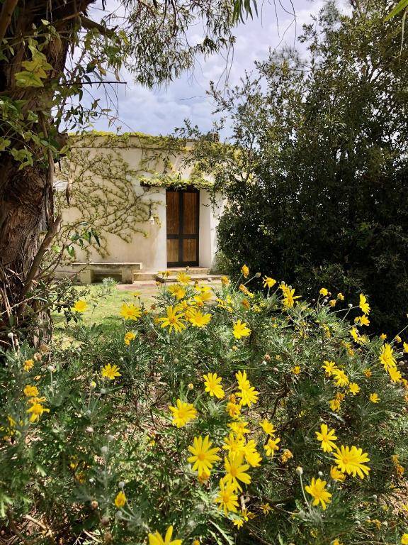 Masseria La Torre