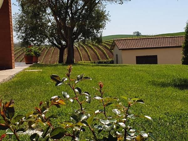 Agriturismo Severini