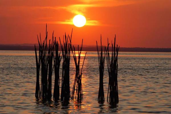Appartamenti La Rosetta