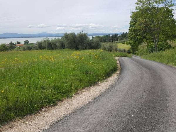 Rustic Cottage in Magione with Garden