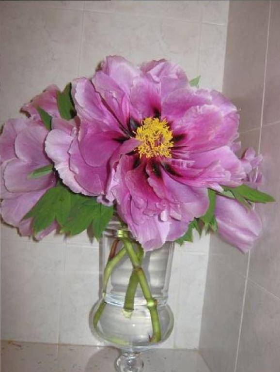 B&B Ristorante del Monte