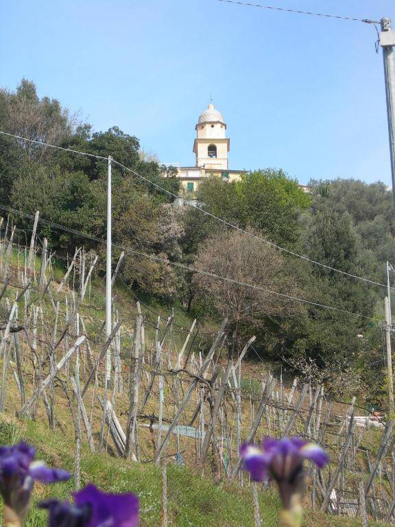 B&B Cinque Terre Da Levanto