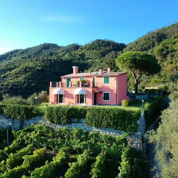 La Vignana - 5 Terre