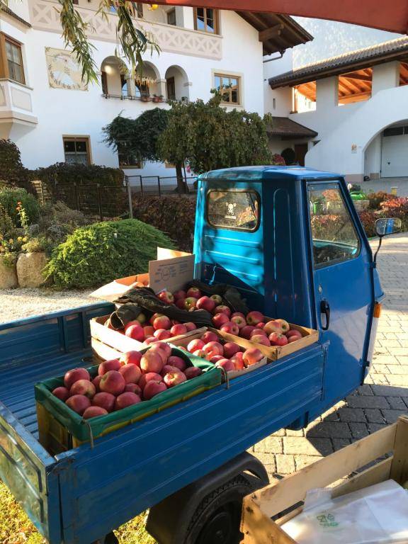Ferienwohnungen Günzelgut