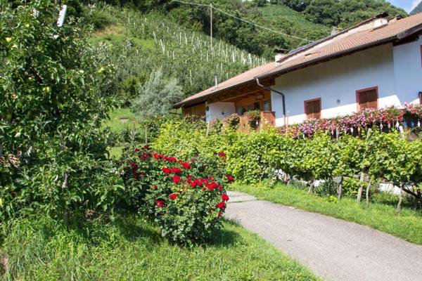 Apartment Ida - Obermösslhof