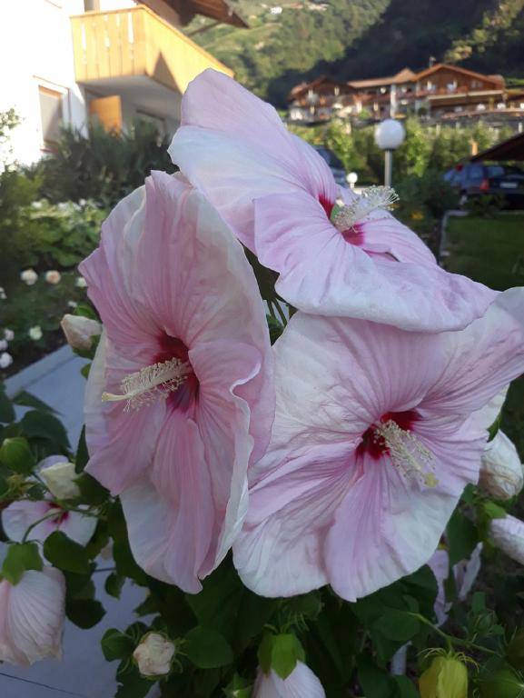 Hotel & Residence Thalguter