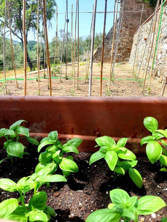 Charming 4-Bed Cottage 15 minutes from Florence