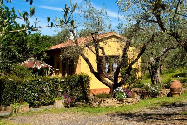 Agriturismo Cerroni Montescudaio