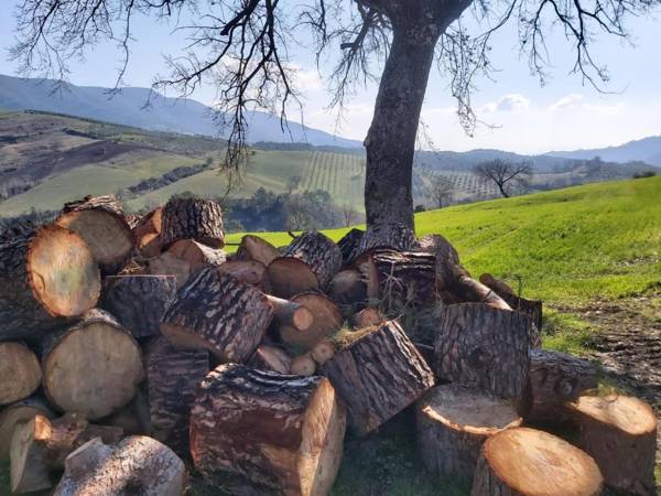 Il Colle Verde - Il Nido Nero