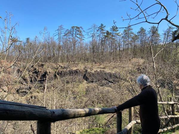 Torre del Barbagianni - Castello di Gropparello